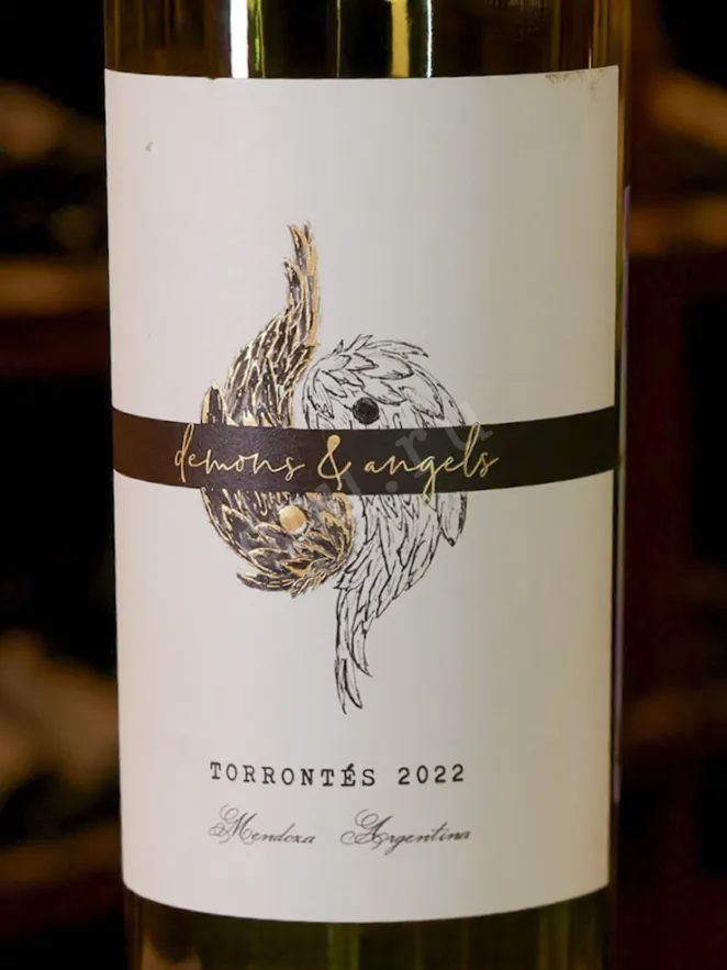 В магазине Крю Профи Demons & Angels Torrontes 2022 0.75 л