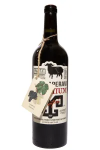 Вино Koncho & Co Saperavi Premium 2021 0.75 л