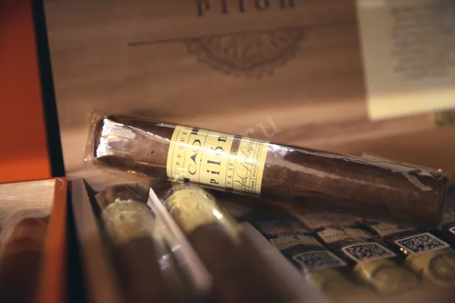 В магазине Крю Профи CAO Pilon Toro *20