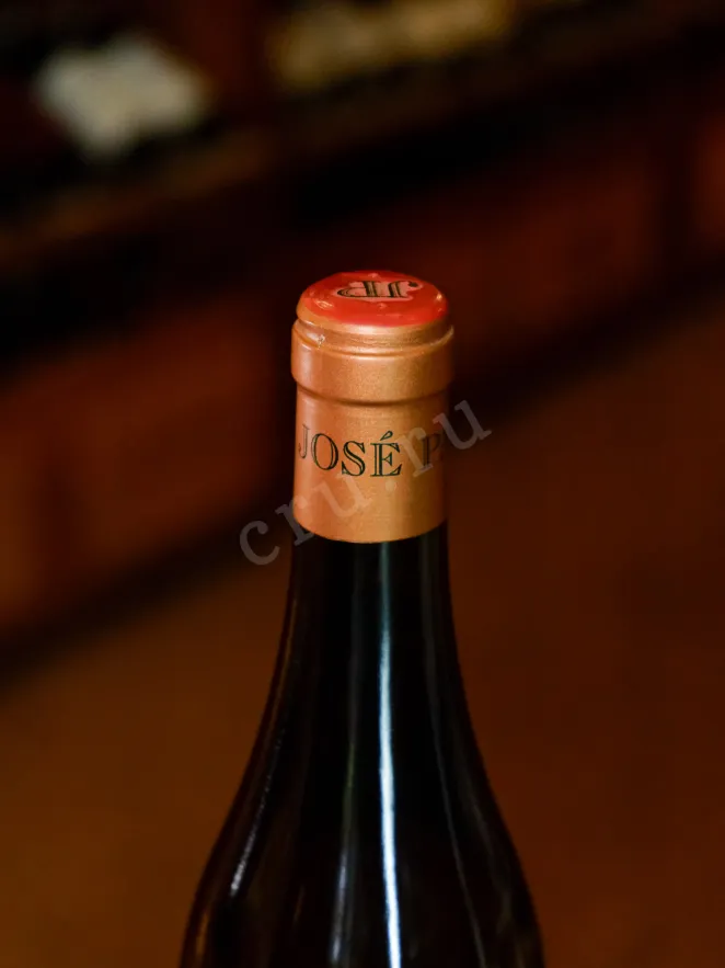 Пробка Jose Pariente Apasionado Rueda DO 2022 0.5 л