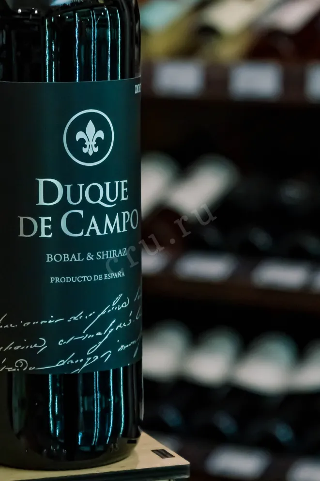 В магазине Крю Профи Vicente Gandia Duque De Campo Bobal & Shiraz DOP 2022 0.75 л