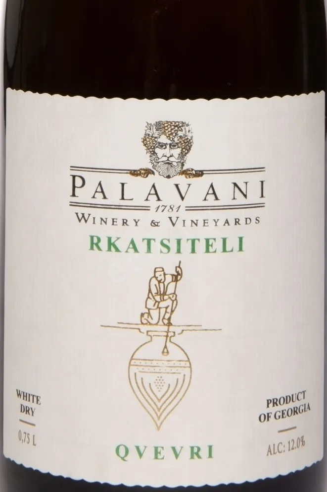 Этикетка Palavani Rkatsiteli Qvevri 2023 0.75 л