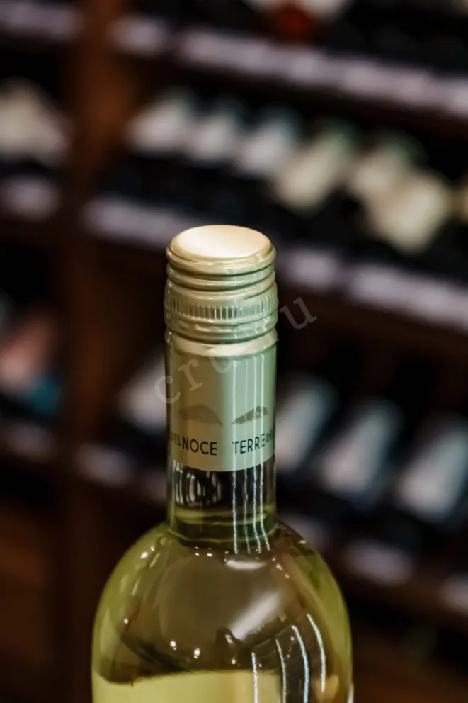 Пробка Mezzacorona Terre del Noce Pinot Grigio 2025 0.75 л