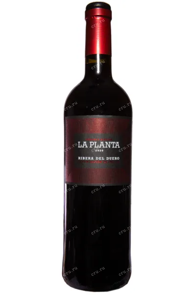 Вино La Planta Arzuaga Navarro 2020 0.75 л