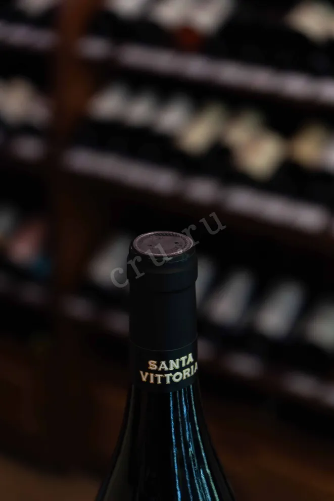 Пробка Santa Vittoria Barolo 2019 0.75 л