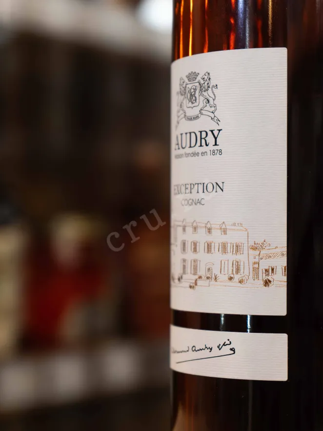 В магазине Крю Профи Audry Exception 0.7 л