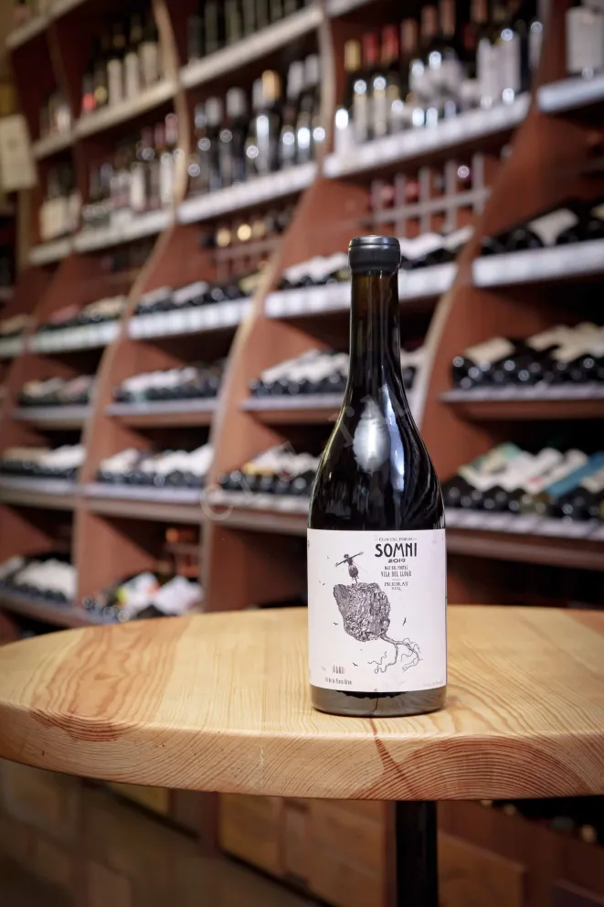 В магазине Крю Профи Portal del Priorat Clos del Portal Somni 2017 0.75 л