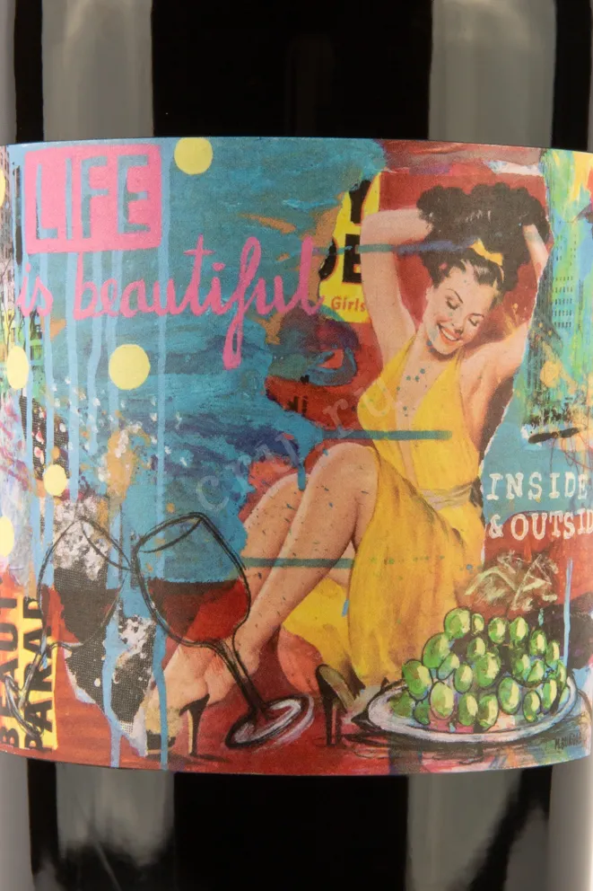 Этикетка BioDyn Weinhof Haider Life is beautiful 2019 0.75 л