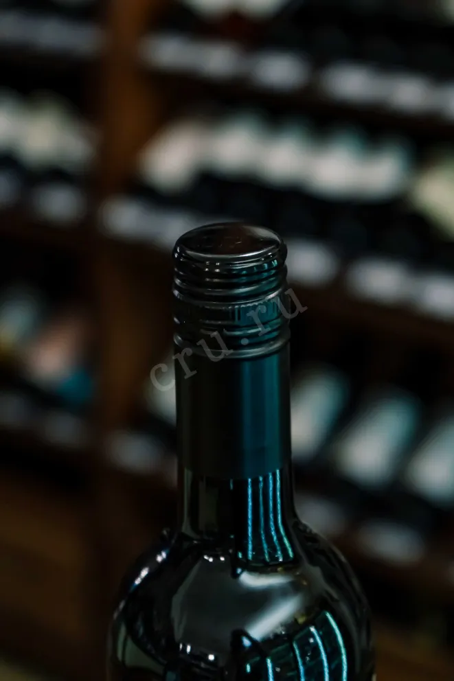 Пробка Bienvenido Munoz Tempranillo La Mancha DO 2024 0.75 л