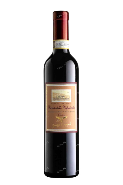 Вино Casotto del Merlo Recioto della Valpolicella Classico 2013 0.5 л