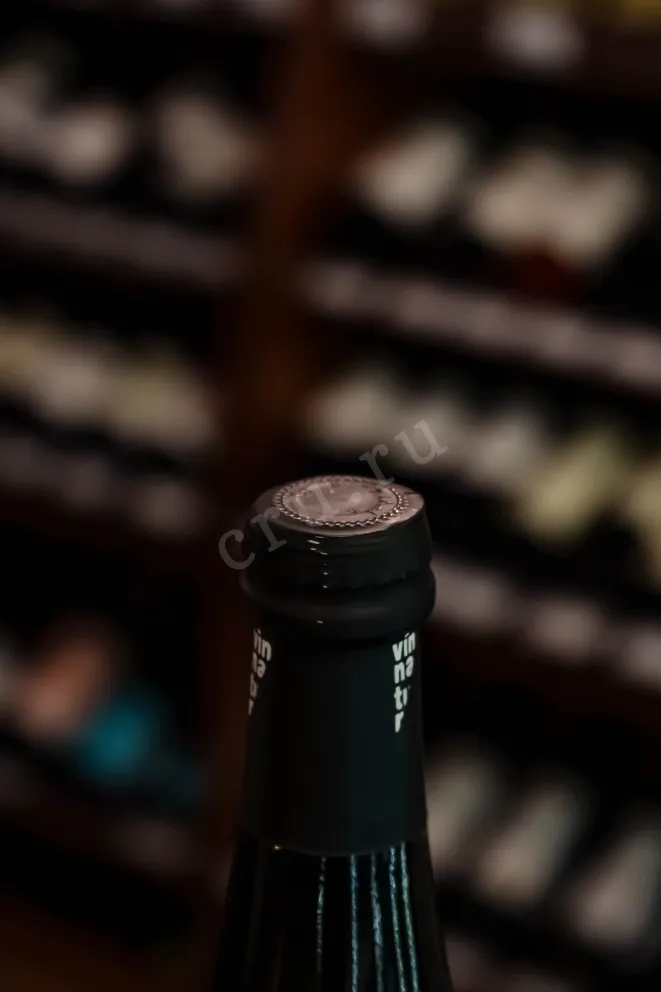 Пробка Veneto Garganega 0.75 л