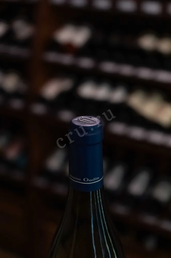Пробка Domaine Oudin Chablis 1er Cru Vaucoupin 2019 0.75 л