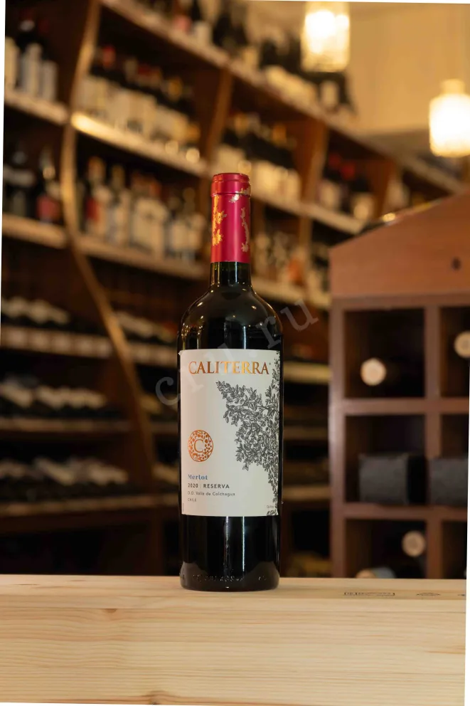 В магазине Крю Профи Merlot Reserva 2020 0.75 л