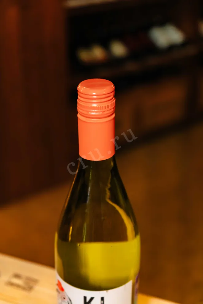 Пробка Undurraga Kiko Chardonnay DO 2023 0.75 л