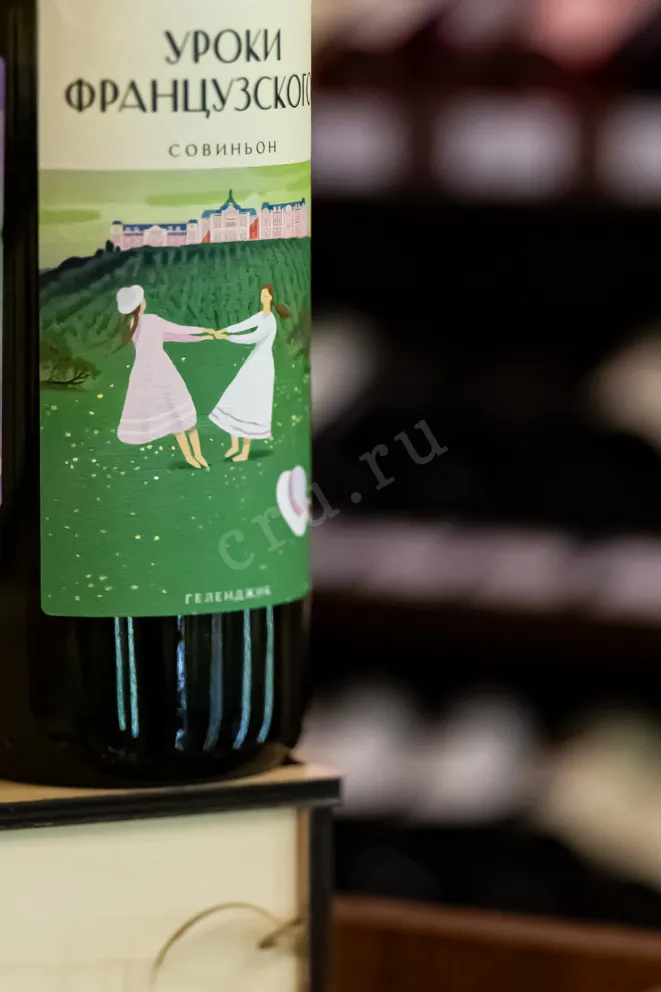 В магазине Крю Профи Chateau de Talu French Lessons Sauvignon 2024 0.75 л