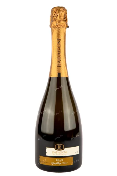 Игристое вино Badagoni Brut 2022 0.75 л