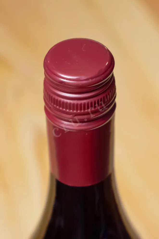 Пробка Paddleboard Cellars Pinot Noir 2020 0.75 л