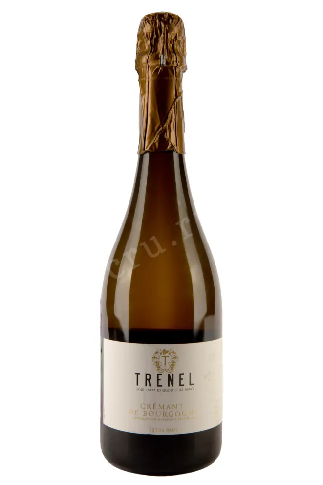 Игристое вино Trenel Cremant de Bourgogne Extra Brut AOC  0.75 л