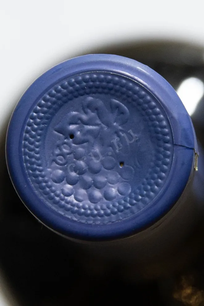 Пробка Begaso Rkatsiteli Rose Kvevri 2020 0.75 л