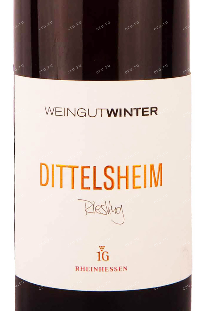 Этикетка Weingut Winter Dittelsheim Riesling 2019 0.75 л