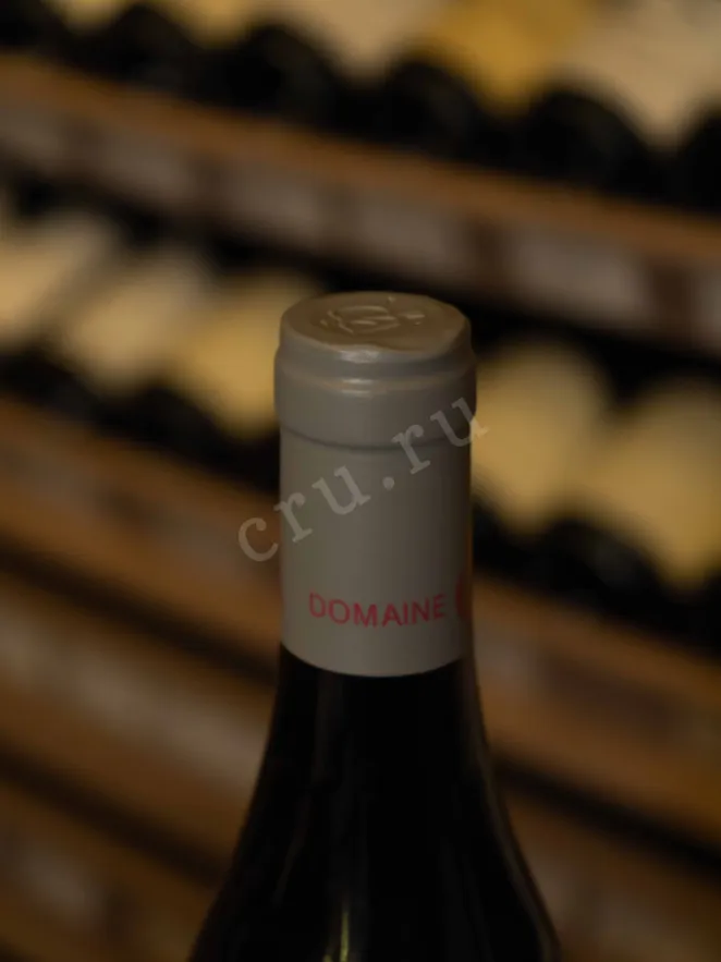 Пробка Nuits-Saint-Georges Premier Cru Clos-des-Forets-Saint-Georges 2018 0.75 л
