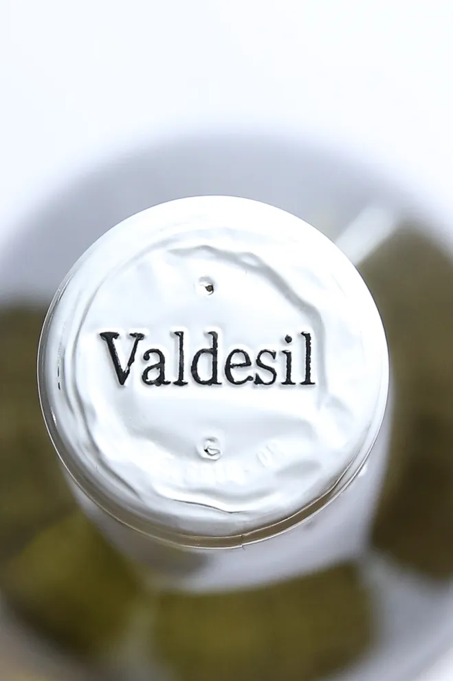 Пробка Valdesil Valdeorras 2017 0.75 л
