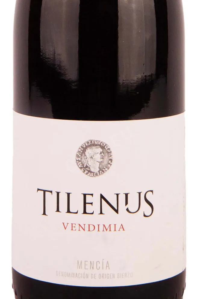 Этикетка Bodegas Estefania Tilenus Vendimia 2020 0.75 л