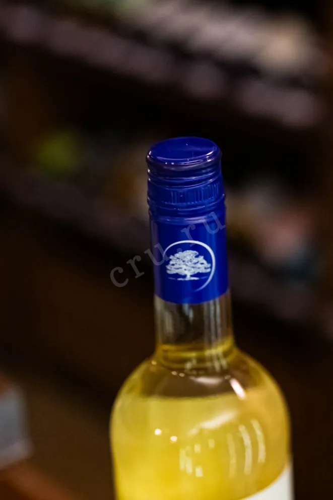 Пробка Chateau le Grand Vostock Cadet Karsov 2024 0.75 л