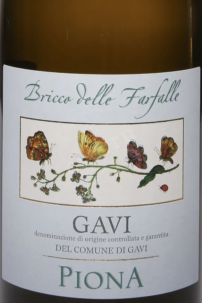 Этикетка Gavi di Gavi Piona 2021 0.75 л