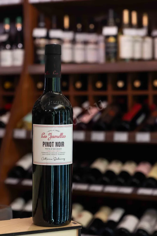 В магазине Крю Профи Les Jamelles Pinot Noir 2024 0.75 л
