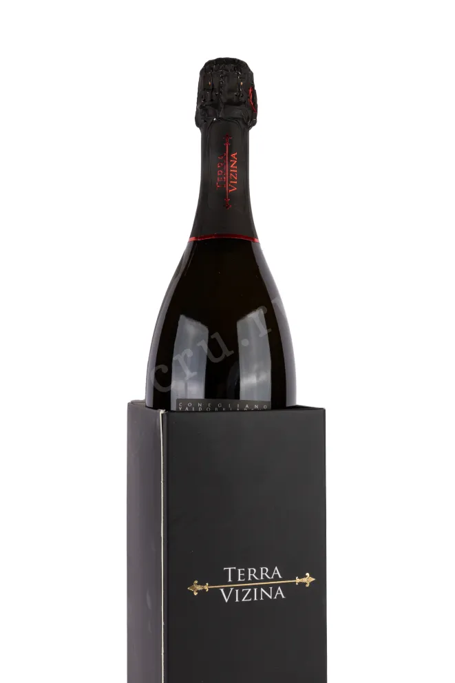 Игристое вино Prosecco Superiore Conegliano Valdobbiadene Extra Dry Terra Vizina in gift box 2021 0.75 л