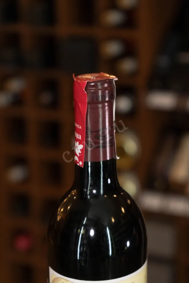 Пробка Vina Cubillo Crianza Rioja DOC 2016 0.75 л