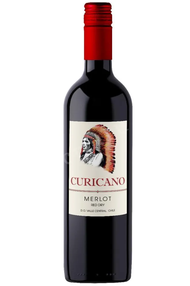 Вино Curicano Merlot 2024 0.75 л
