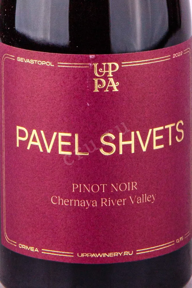 Этикетка Pinot Noir Pavel Shvets 2021 2022 0.75 л
