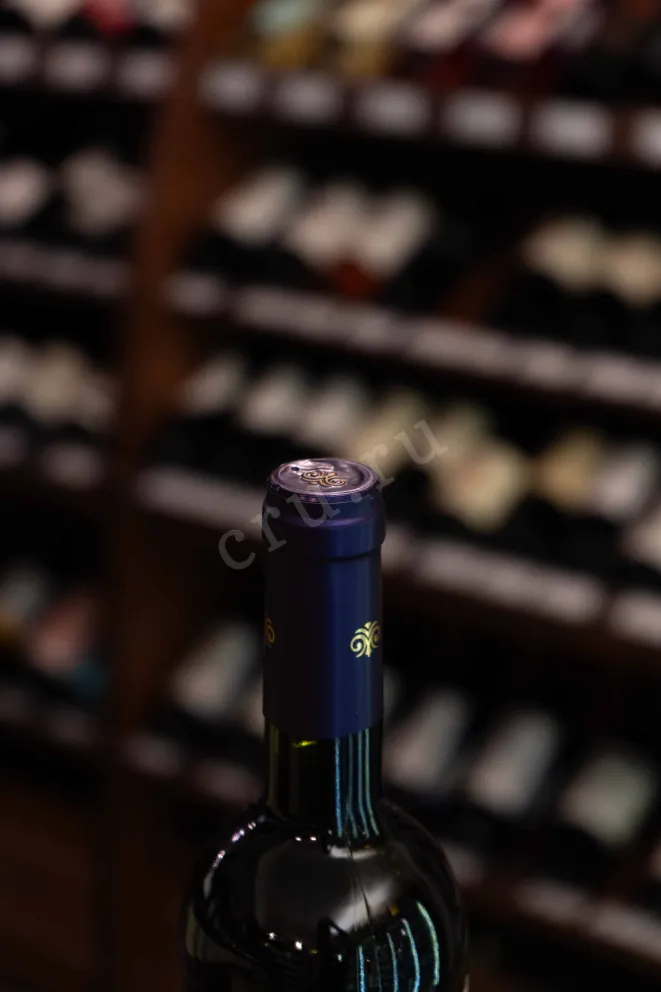 Пробка Viu Manent Gran Reserva Carmenere 2023 0.75 л