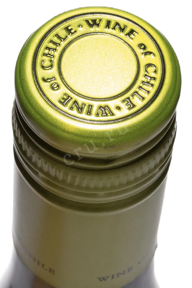 Пробка Montgras Reserva Sauvignon Blanc Leyda Valley DO 2023 0.75 л