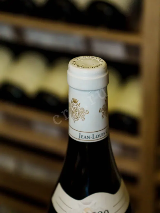 Пробка Puligny-Montrachet 1er Cru Les Perrieres Jean-Louis Chavy 2020 0.75 л