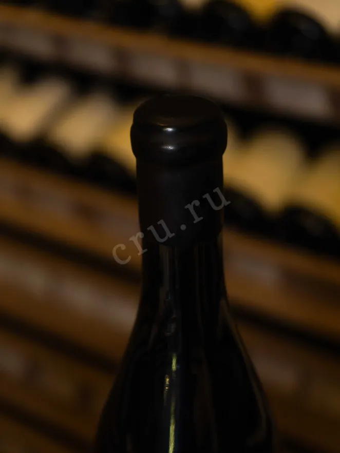 Пробка Pierre Girardin Morey-Saint-Denis 1er Cru Les Monts Luisants 2020 0.75 л