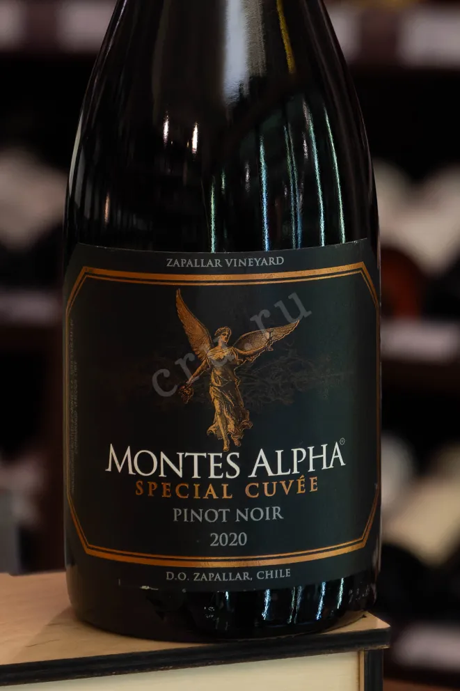 В магазине Крю Профи Montes Alpha Special Cuvee Zapallar DO 2020 0.75 л