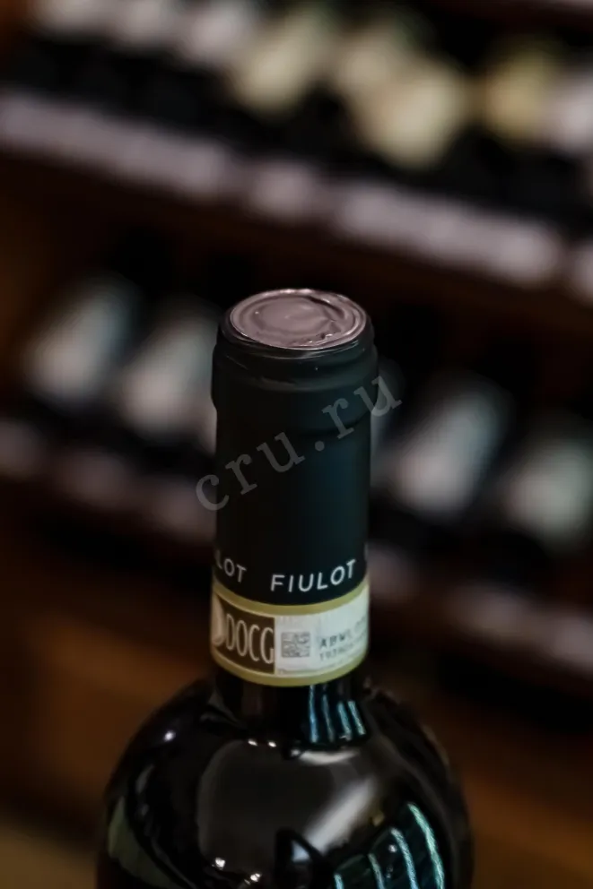 Пробка Prunotto Fiulot Barbera d'Asti DOCG 2020 0.75 л