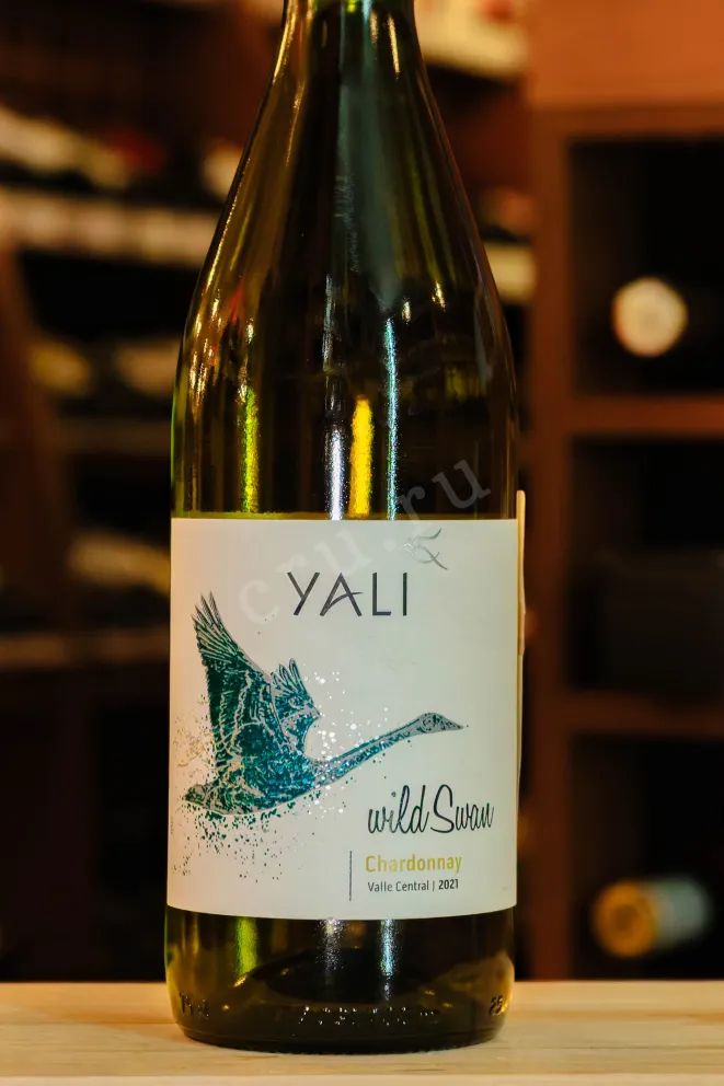 В магазине Крю Профи Yali Wild Swan Chardonnay 2021 0.75 л