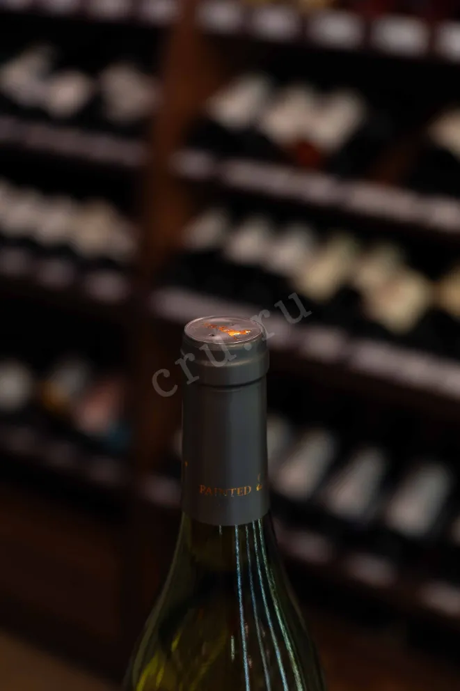 Пробка Painted Wolf Solo Roussanne 2022 0.75 л