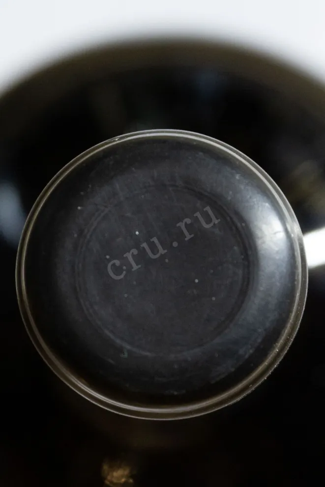 Пробка Aiurri Salas Rioja DOCa in gift box 2021 0.75 л