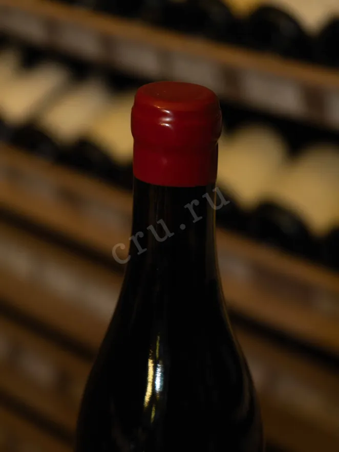 Пробка Arnaud Baillot Nuits-Saint-Georges 2021 0.75 л
