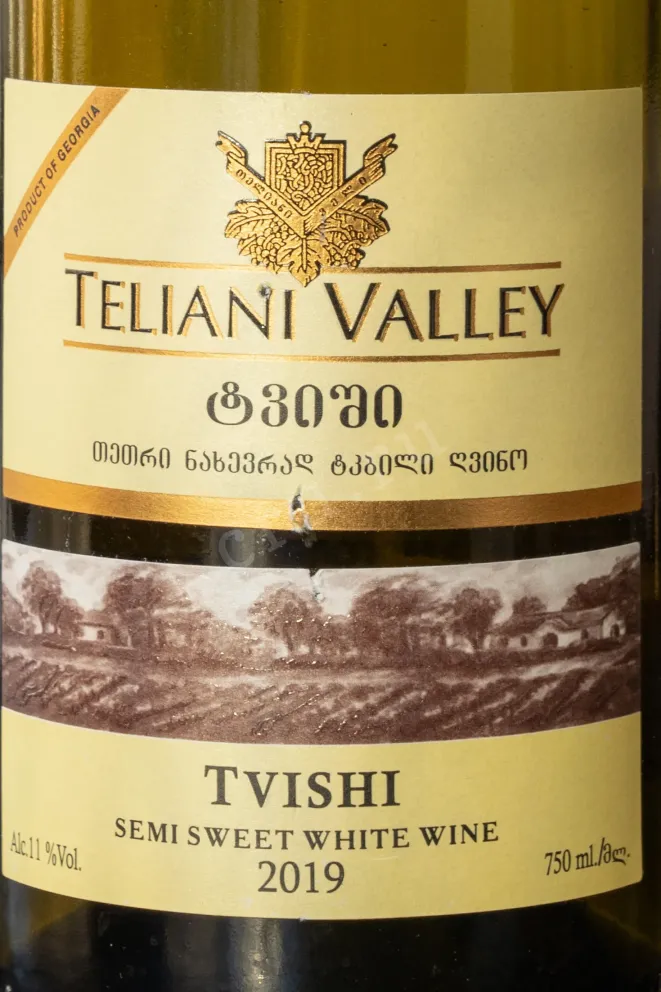 Вино Teliani Valley Tvishi 2019 0.75 л
