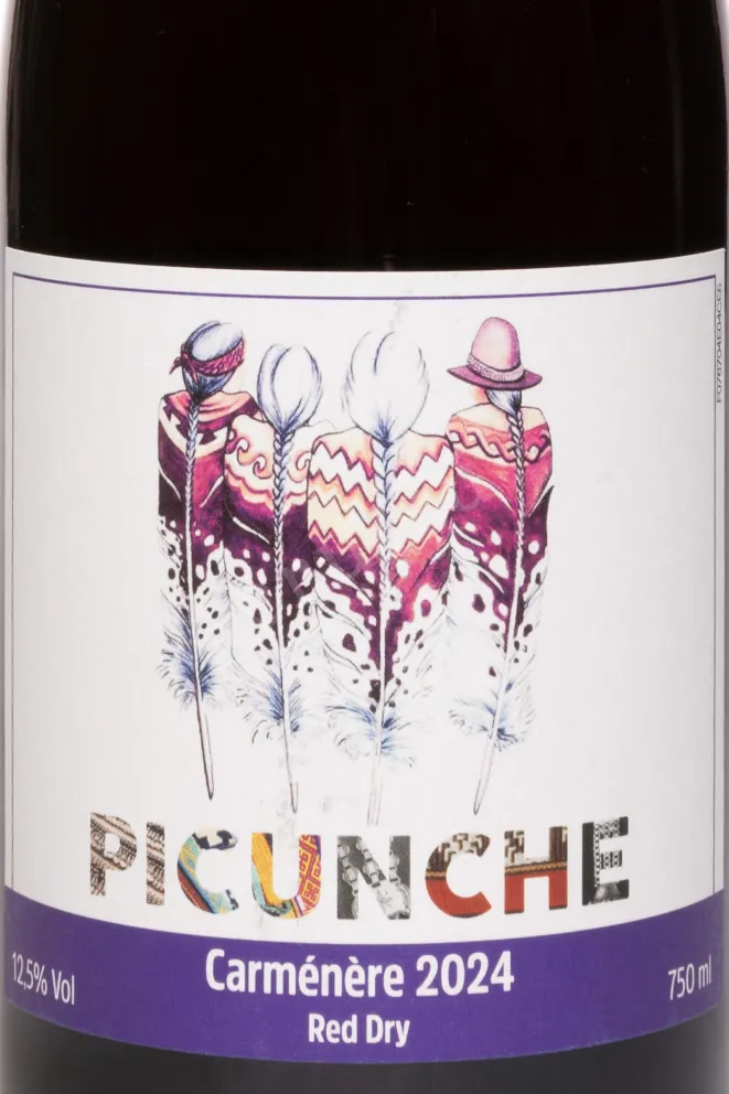 Этикетка Picunche Carmenere Valle Central 2024 0.75 л