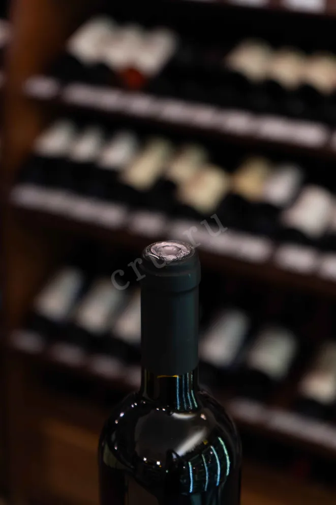 Пробка La Madeleine Sfide Rosso Umbria 2017 0.75 л