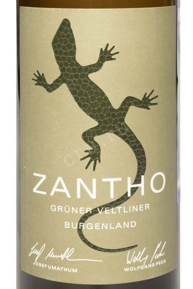 Этикетка Zantho Gruner Veltliner 2024 0.75 л