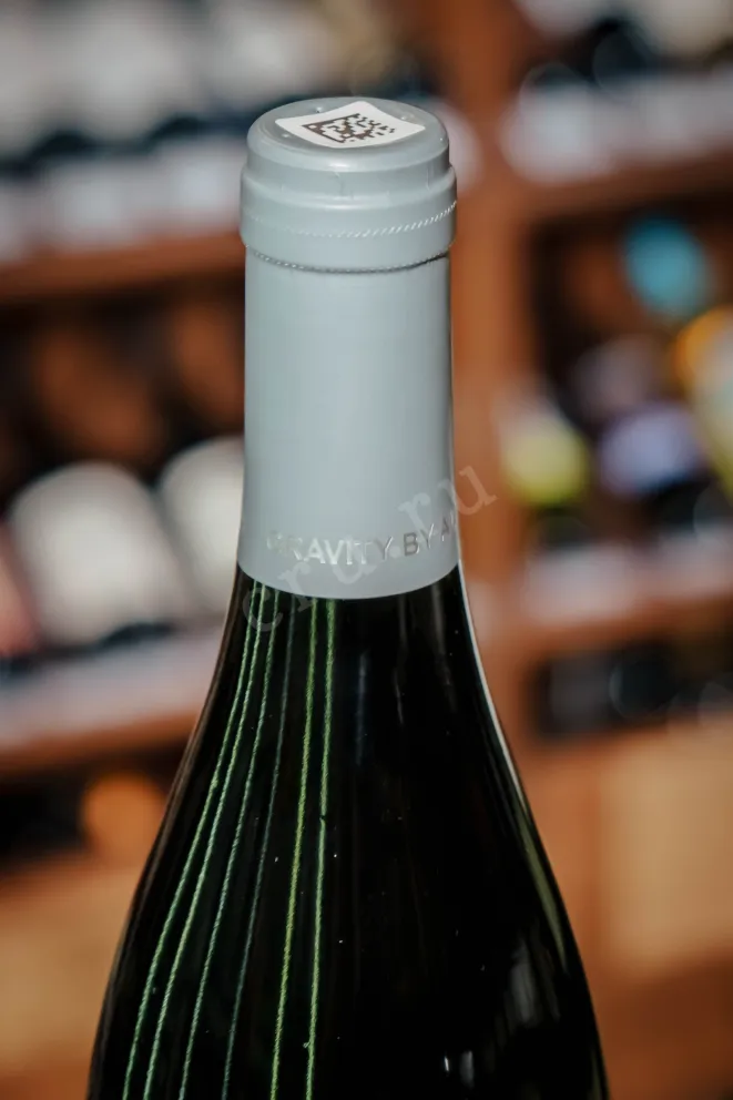 Пробка Alma Gravity Pinot Noir 2022 0.75 л