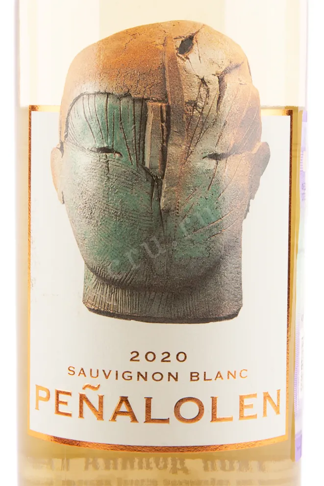 Вино Penalolen Sauvignon Blan 2021 0.75 л